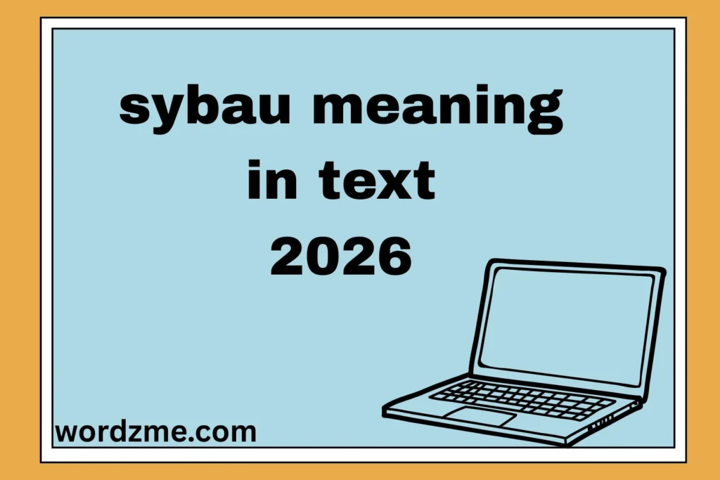 sybau meaning in text 2026