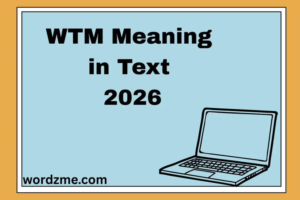 WTM Meaning in Text 2026