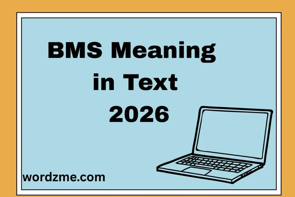 BMS Meaning in Text