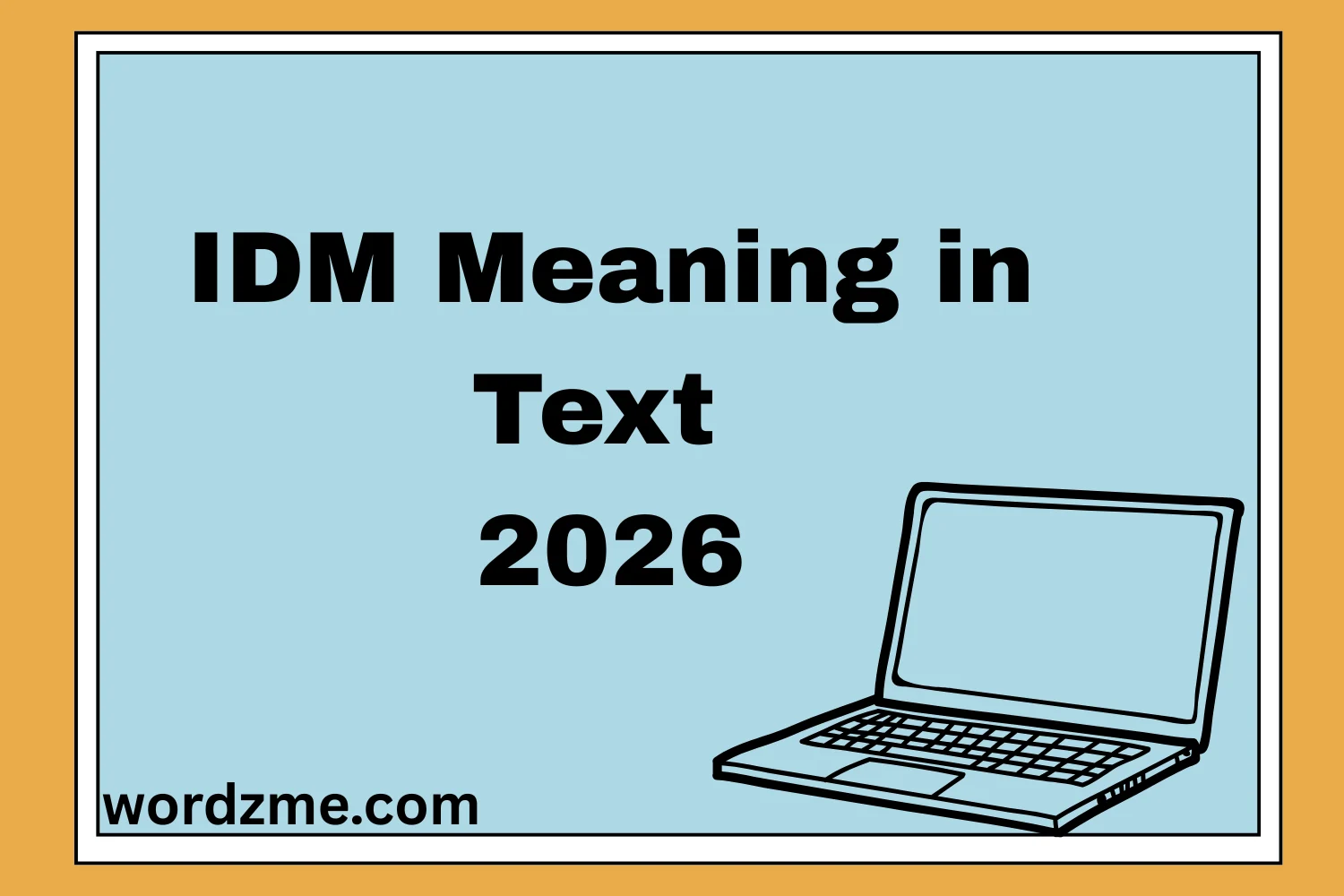IDM Meaning in Text