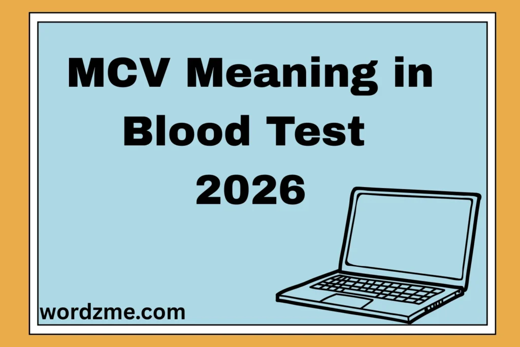 MCV Meaning in Blood Test 2026