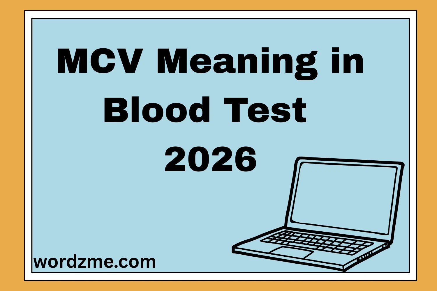 MCV Meaning in Blood Test 2026