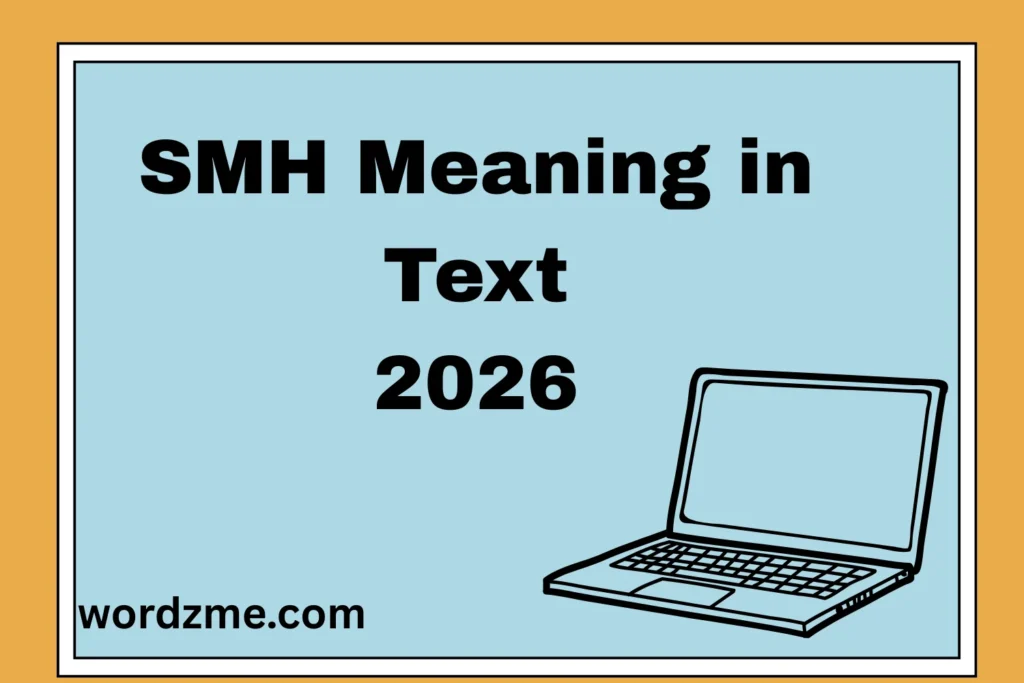 SMH Meaning in Text