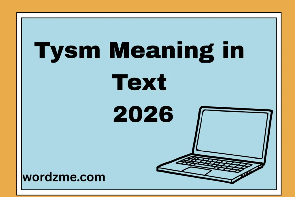 Tysm Meaning in Text