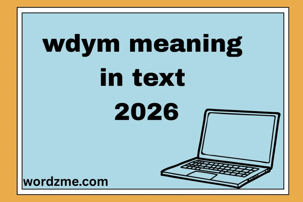 WDYM Meaning in Text 2026