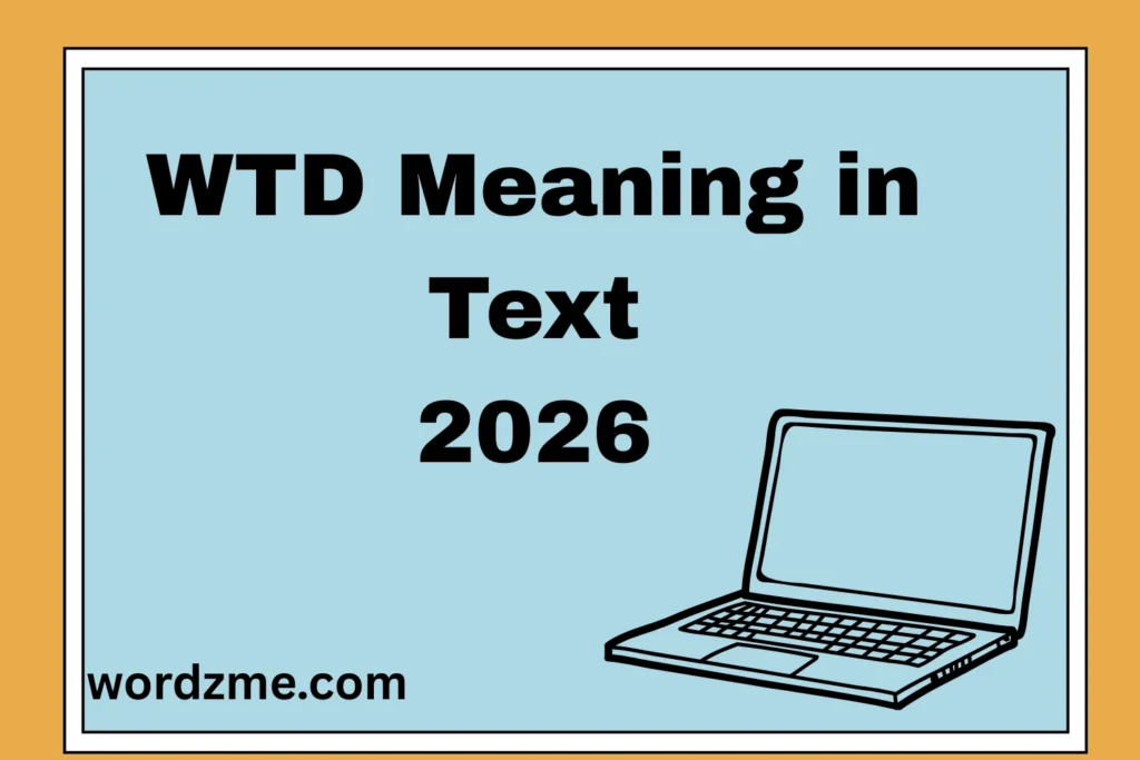 WTD Meaning in Text