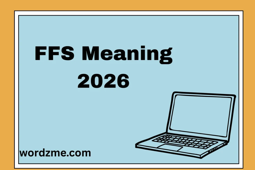 FFS Meaning in Chat The Real Definition 2026