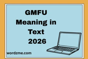 GMFU Meaning in Text