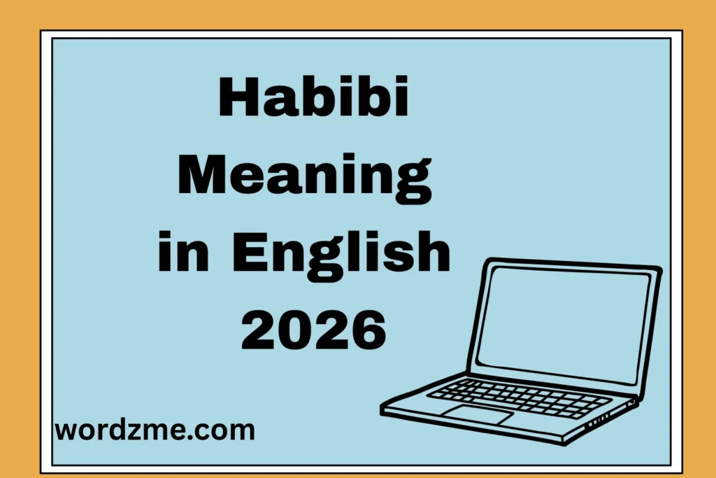 Habibi Meaning in English