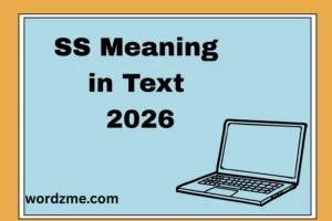 SS Meaning in Text