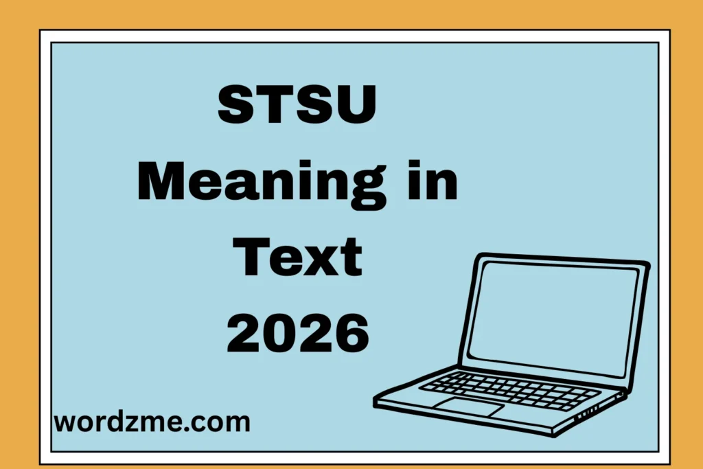 STSU Meaning in Text What It Really Means 2026